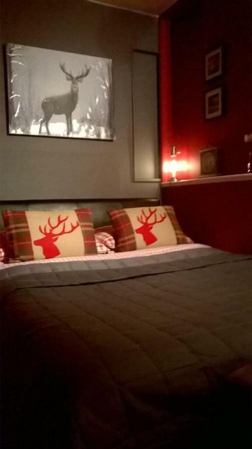 Holly House Bed And Breakfast And Apartments Hereford Exteriör bild